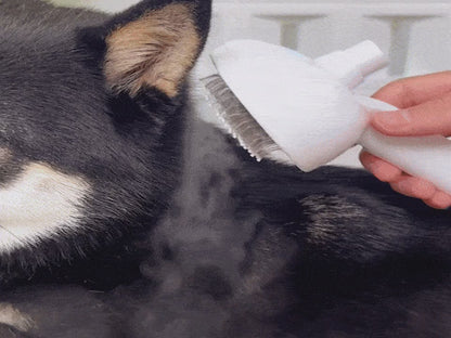 Self Cleaning Pet Hair Remover Brush + Spray